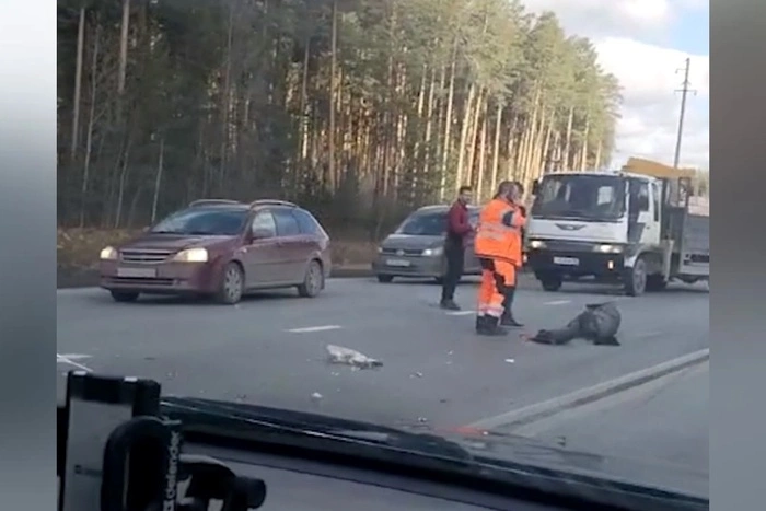 Перебегавшая ЕКАД женщина попала под грузовик