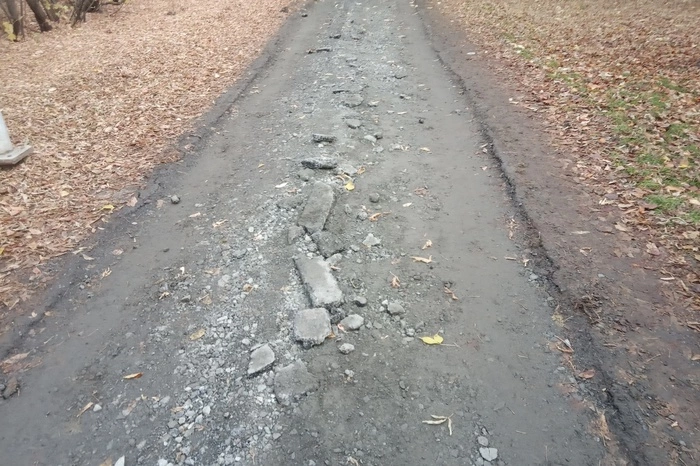 Владимир Злоказов: Накануне зимы мэрия начала работы в Зеленой Роще