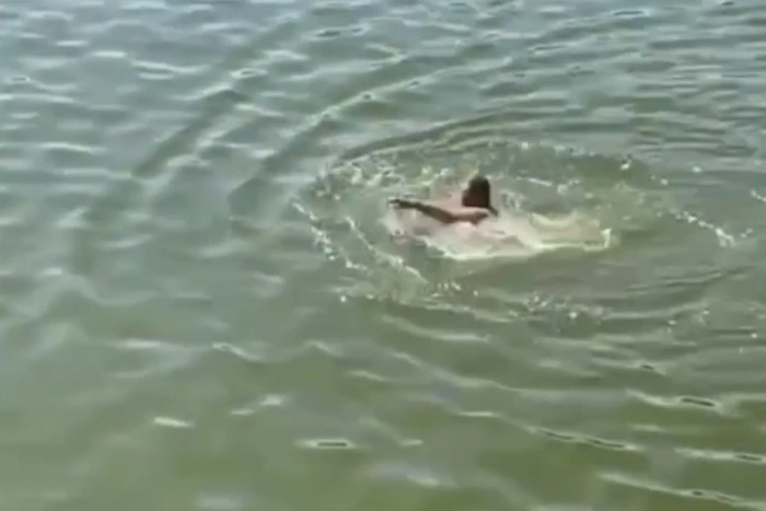 Екатеринбуржцы открыли купальный сезон прямо в центре города