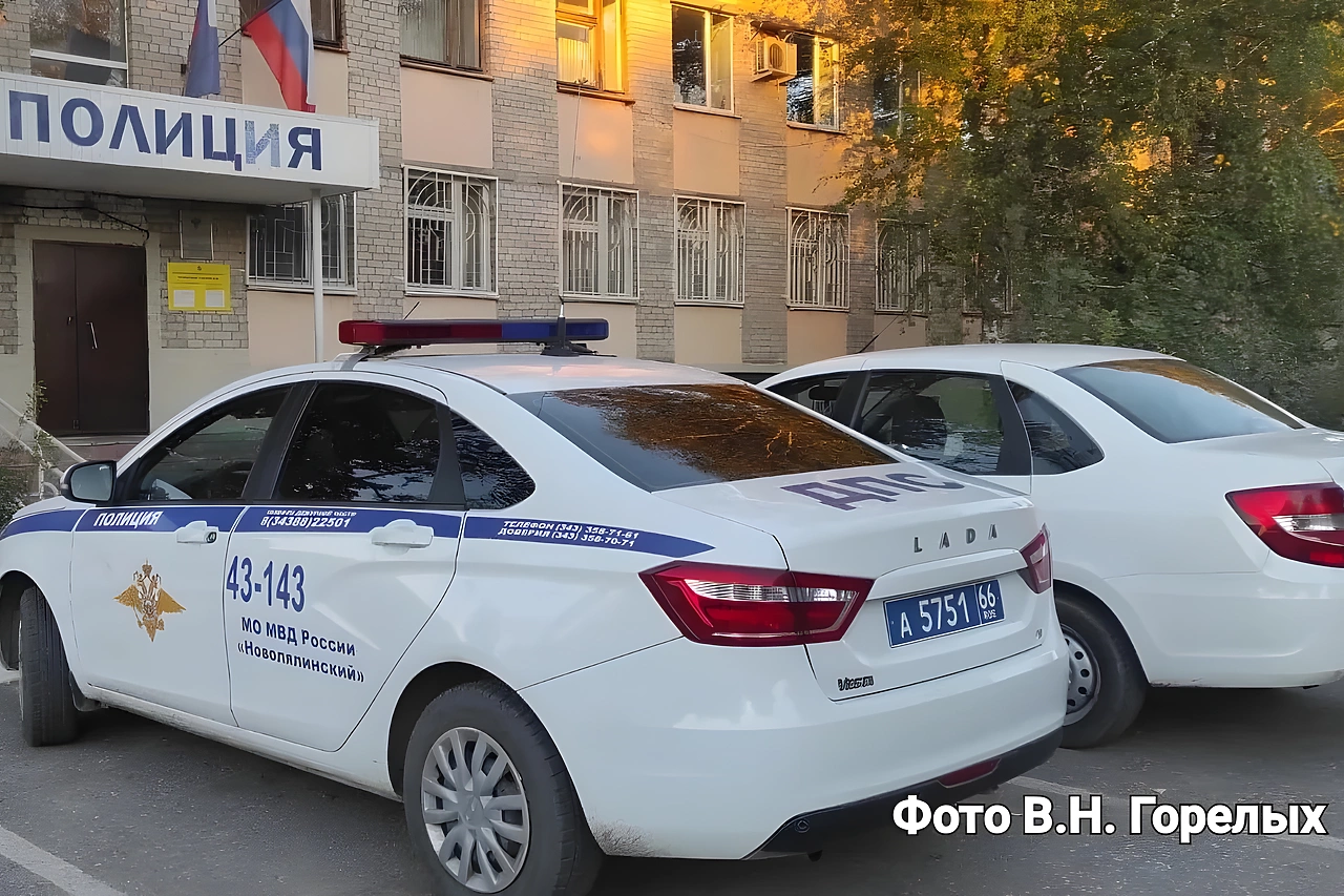 Почему дети помогают мошенникам грабить своих родителей?