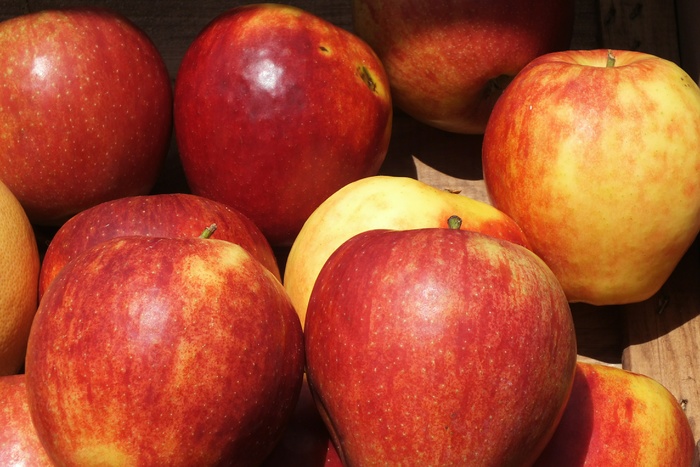 В Екатеринбурге уничтожили 4 тонны санкционных яблок