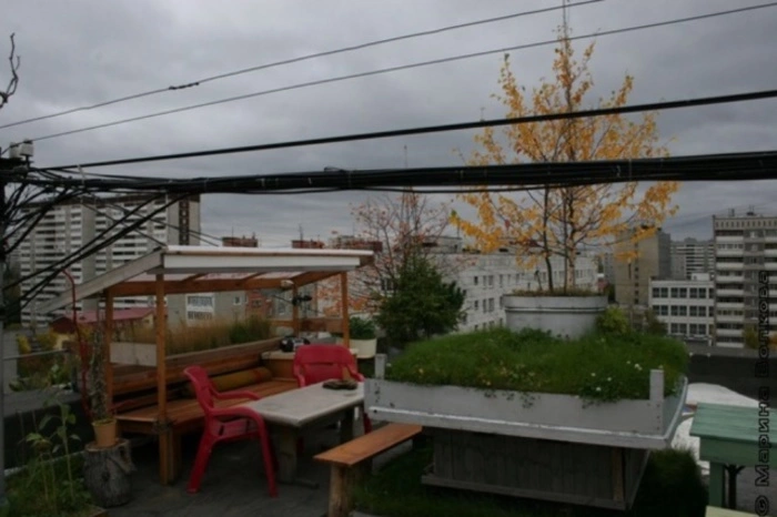 В Екатеринбурге сотрудники УК разрушили уникальный сад на крыше дома