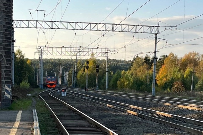 Стало известно, как сэкономить на покупке ж/д билетов