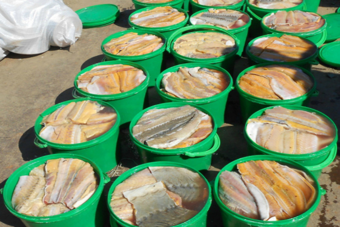 В Красноярском крае полицейские изъяли у браконьеров 2,5 тонны осетровых рыб