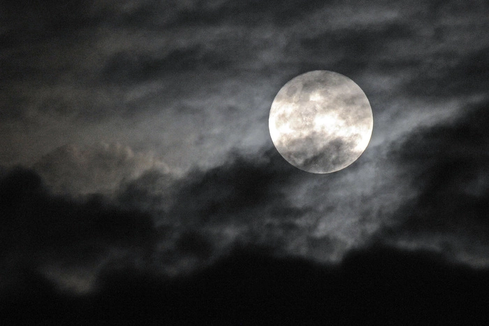 В Верхней Пышме стартовал суд над ритуальным маньяком