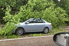 Ураган в Москве унес жизни 11 человек