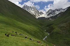 19-летний пастух подозревается в убийстве туристов из США в Грузии