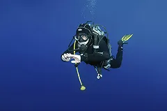 В сургутском бассейне утонул водолаз