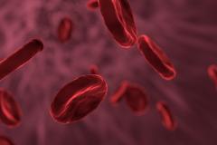 Ученые подтвердили связь между группой крови и тяжестью коронавируса