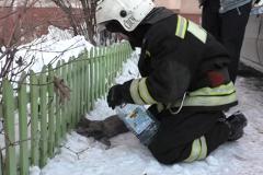 Свердловских спасателей научат реанимировать котов и собак после пожаров