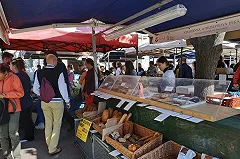 Последняя весенняя ярмарка пройдет на площади 1905 года в Екатеринбурге