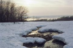 В последний день зимы на Урале будет тепло