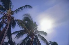 Туристка из Челябинской области погибла в Доминикане