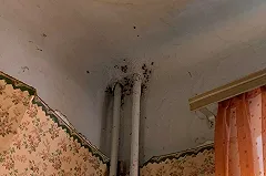 «Эти люди хуже свиней»: как в Екатеринбурге арендаторы уничтожают съёмные квартиры