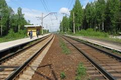 Путин увеличил штрафы для железнодорожных «зайцев»