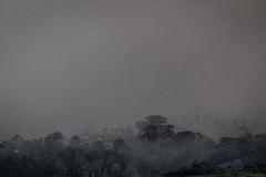 В Верхнем Тагиле могут ввести режим ЧС: город засыпает пеплом