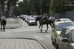 Рейсовый автобус столкнулся с лошадью в Екатеринбурге