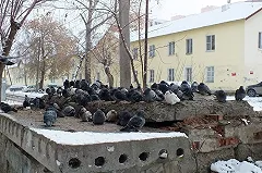 Путин велел кабмину уточнить расчет налога на недвижимость. «Люди много платят»