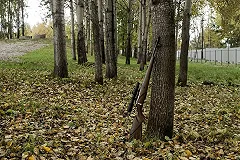 В Свердловской области ввели ещё одно ограничение из-за коронавируса