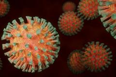 Учёные обнаружили самый частый признак коронавируса при лёгкой и бессимптомной форме болезни