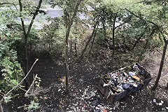 Москвичка с сыном-инвалидом устроили в квартире кладбище домашних животных