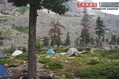 В Красноярском крае нашли тело туриста, погибшего от нападения медведя