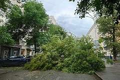 Галина Шепоренко рассказала, где «поураганило» этим летом в Свердловской области