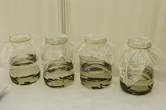 Максим Пузанков: Свердловские санатории не стремятся работать с туроператорами