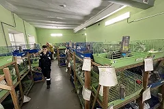 Стало известно, чем на самом деле кормят животных в зоопарке Екатеринбурга (+18)