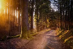 В Гидрометцентре рассказали, когда в Россию придет бабье лето