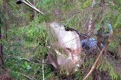 Стало известно, кто на самом деле находился в рухнувшем в свердловском лесу вертолете