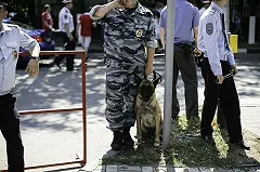 В Москве пассажир трамвая без причины убил стоявшего на остановке мужчину