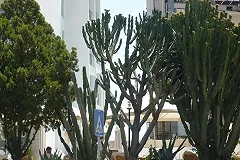 Глава минтуризма Турции пообещал туристам из России безопасный отдых