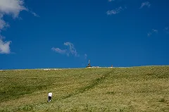 В Свердловской области запустят маршрут для туристов из Китая