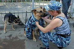 Полуторагодовалая девочка пропала в Нижнесергинском районе (ФОТО)