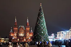 На российскую авиабазу в Сирии привезли две елки из Москвы