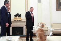 Путин показал японским журналистам «строгую собаку» породы акита