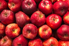 В Екатеринбурге на полках магазинов появятся тонны зараженных яблок