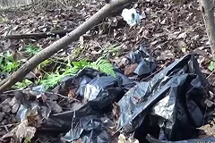 В Кольцово задержали жителя Красноуфимска, пронесшего наркотики в перстне