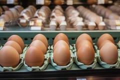 Профессор УрГЭУ объяснил причину невероятных цен на яйца в магазинах Екатеринбурга