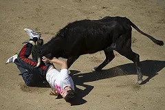 Бык стащил брюки и трусы с посетителя корриды в Сарагосе