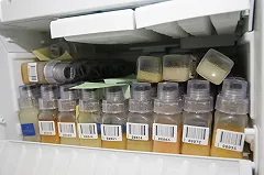 Мельдоний запретили «с подачи» американцев