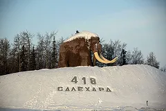 Останки мамонта найдены на берегу ямальского озера