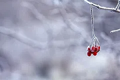 Уральские синоптики заявили, что в Екатеринбурге снова потеплеет