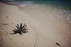 Турист из Магадана и тайка погибли после ДТП со скутером на Пхукете