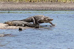На выходные синоптики пообещали уральцам субтропики