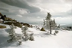 Раскрыта причина гибели группы Дятлова