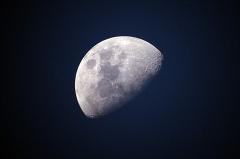 НАСА приостановило контракт со Space X по лунному модулю