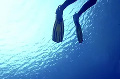 В Геленджике проводится проверка по факту смерти дайвера