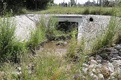 Причиной смерти екатеринбуржца, чье тело без зубов нашли в ливневке, назвали гипотермию